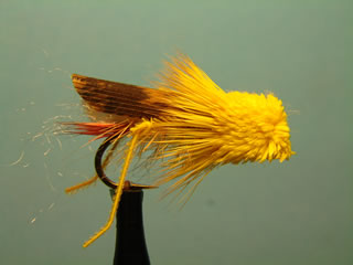 Yellow Daves Hopper (10)